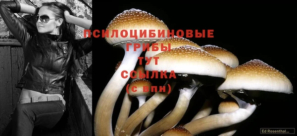спайс Абинск