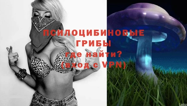 2c-b Абдулино
